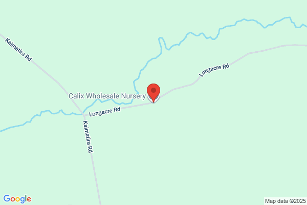 Calix Wholesale Nursery