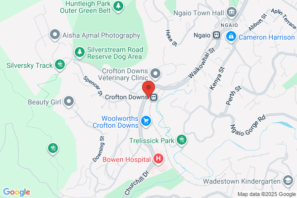 Crofton Downs Mitre 10
