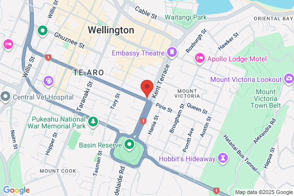 Wellington Nannies College Limited