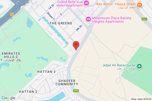 Regent International Academy Limited