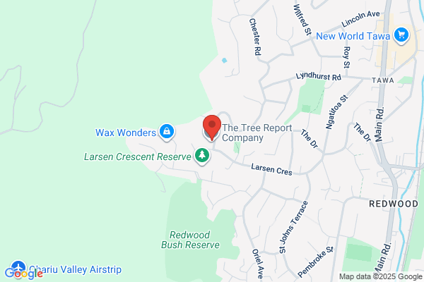 Harbour City Tree Care