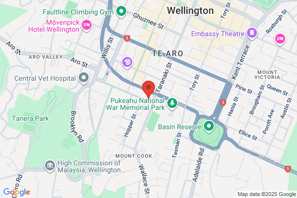 Semtex Plumbing Wellington