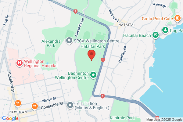 Hataitai Gymfun Gymnastic Club
