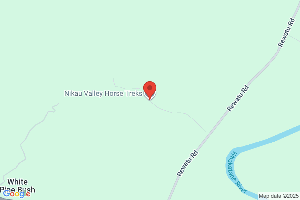 Nikau Valley Horse Treks