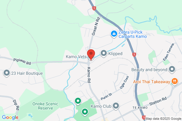 Kamo Veterinary Ltd