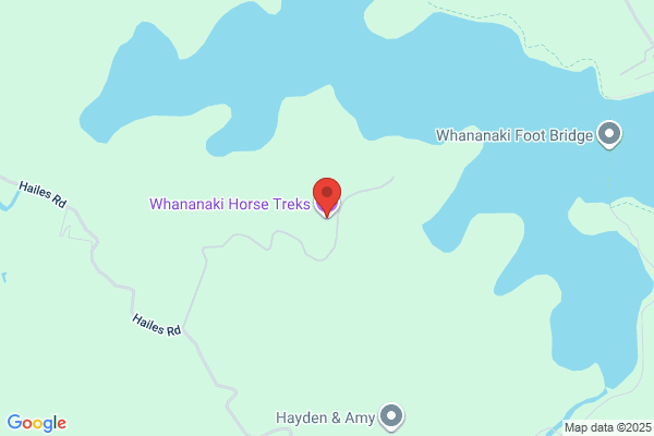Whananaki Trail Rides