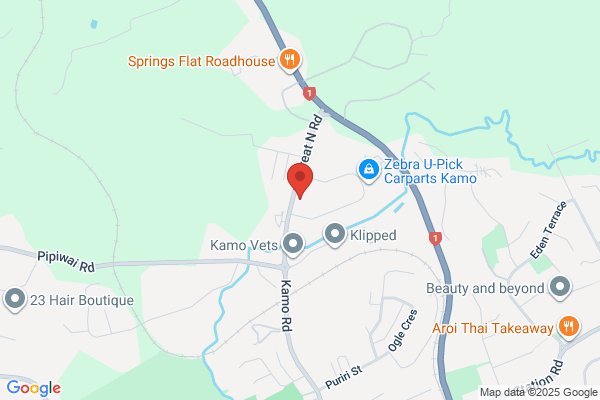 Whangarei & BOI Nursing & Homecare