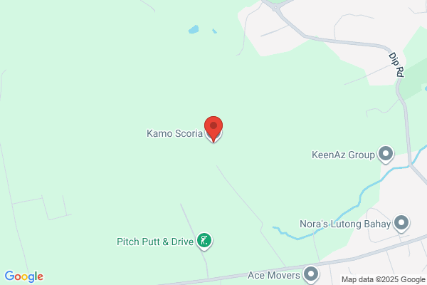 Kamo Scoria