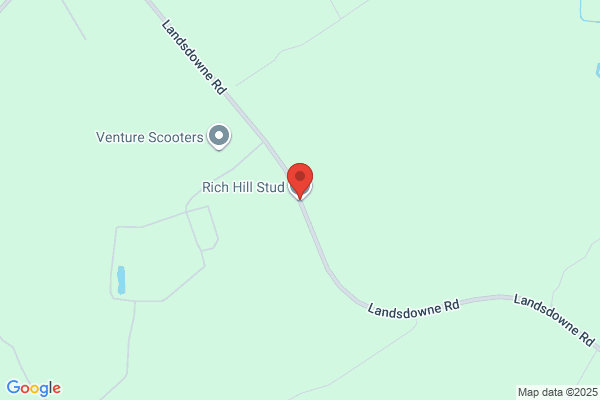 Rich Hill Thoroughbreds