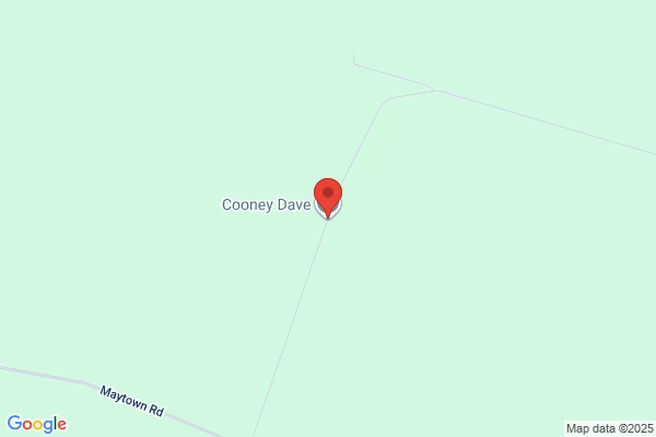 Cooney Dave