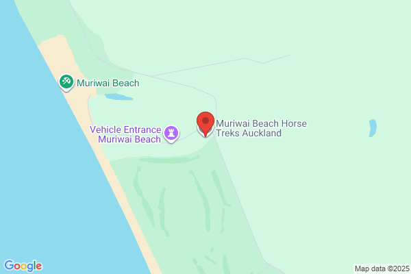 Muriwai Beach Farmstay & Horse Hire
