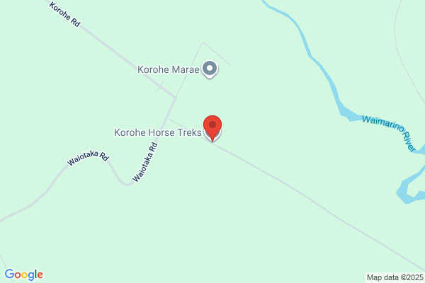 Taupo Horse Treks
