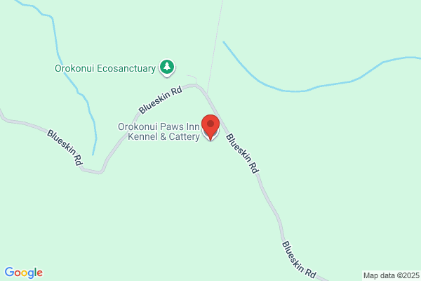 Camelot Kennels & Cattery