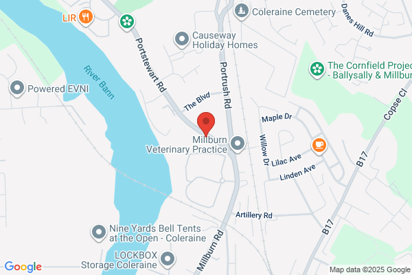 Waverley Auto Repairs