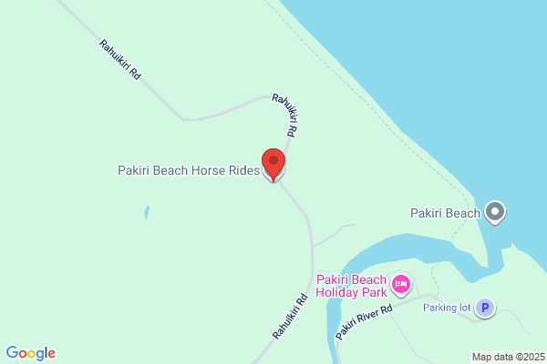 Pakiri Beach Horse Rides & Overnight Safaris
