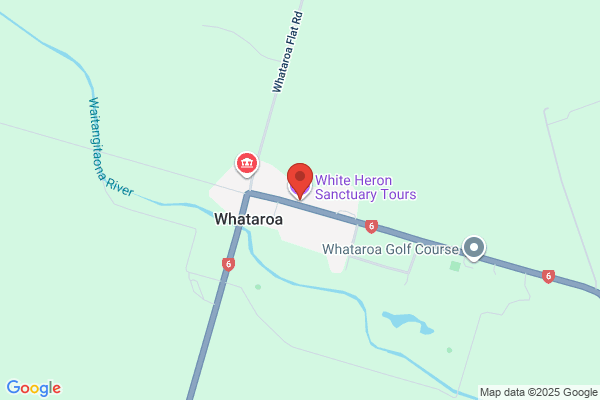 White Heron Sanctuary Tours Ltd