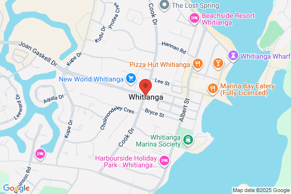 Sea Urchin NZ
