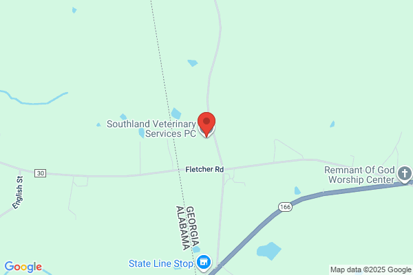Central Southland Veterinary Services